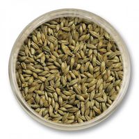 Słód pale ale Viking Malt (5.5-7.5 EBC) 5kg