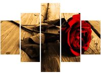 70 100CM OBRAZ 5 ELEM RÓŻA SEPII DRUK PŁÓTNO