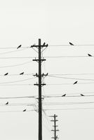 product-compare-59357619