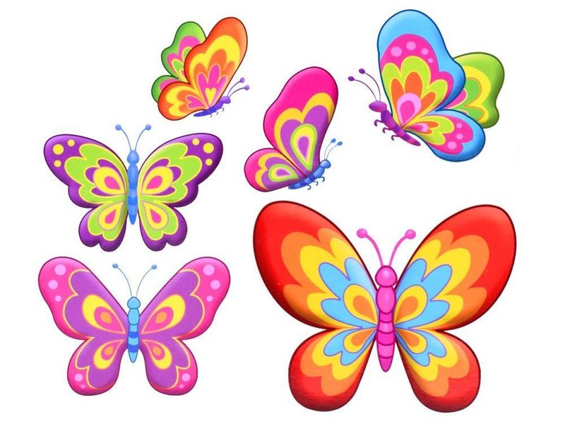 Zestaw magnesy Zrób to sam - Motyle zdjęcie 5