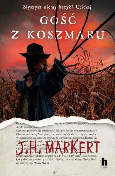 Gość z koszmaru zdjęcie 1
