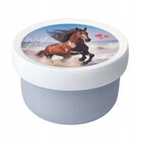 2X MEPAL FRUIT BOX PUDEŁKO NA OWOCE CAMPUS 300 ML WILD HORSE 107430065401