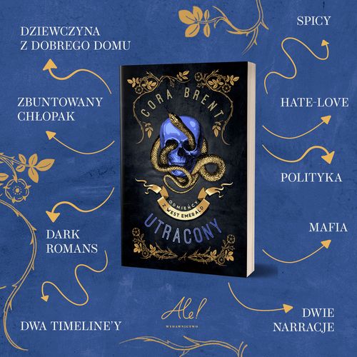 Utracony na Arena.pl