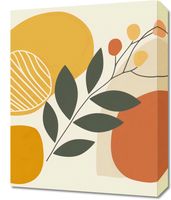Obraz 40x50cm Światło i Cień w Botanice
