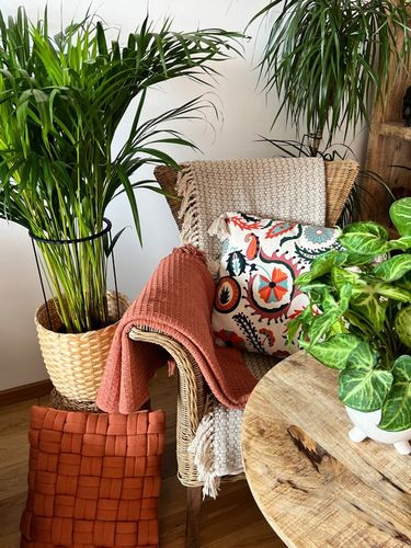 Podpórki do roślin kwiatów podpora podpórka obejma RING ŁĄCZONY 2w1 L 50/21 na Arena.pl