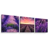 3x Obraz Do Kuchni SET Pole LAWENDY Kwiaty Pejzaż Rośliny 50cm x 50cm