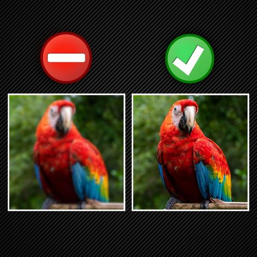 MOCNA ANTENA POKOJOWA DO TELEWIZJI NAZIEMNEJ DVBT2 DO POKOJU DO na Arena.pl