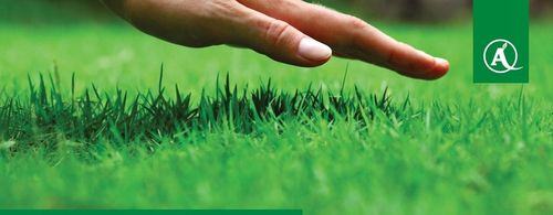 Nawóz Florovit Agro Complex NPK 12-11-18 25kg NISKA ZAWARTOŚĆ CHLORKÓW na Arena.pl