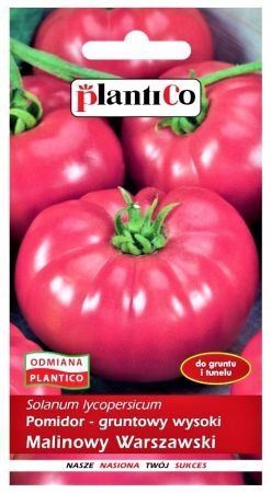 MOCNY TUNEL FOLIOWY OGRODOWY SZKLARNIA 4x2m JAKOŚĆ 8m2 PREMIUM na Arena.pl