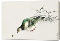 Obraz 100x70cm Turtle Dove, Kashu Japoński Vintage do Salonu