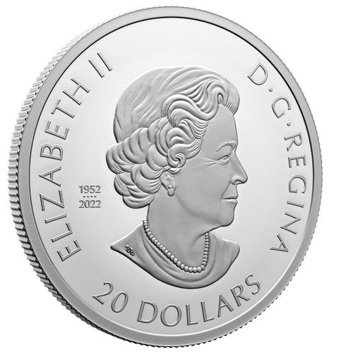 Canada: Remembrance Day kolorowany $20 Srebro 2023 Proof na Arena.pl