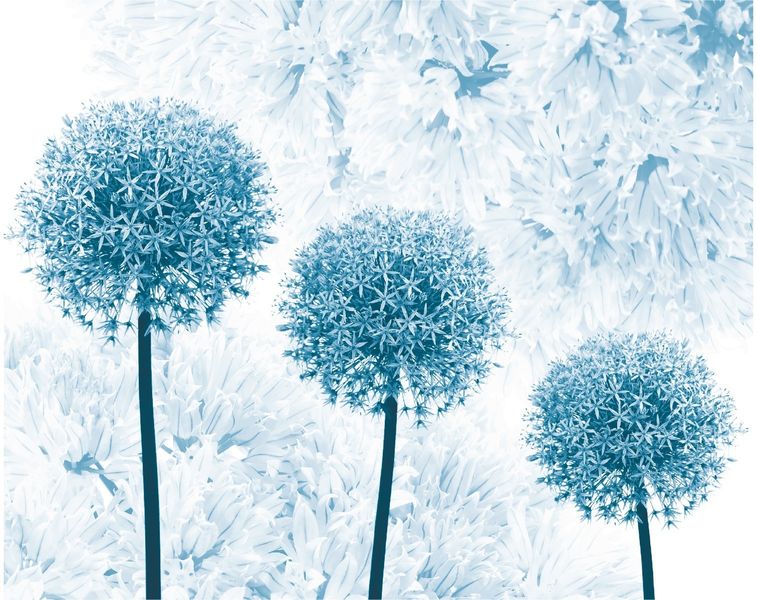 Fototapeta Ścienna Niebieskie DMUCHAWCE Kwiaty Styl Boho 368cm x 254cm zdjęcie 2