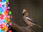 Puzzle tradycyjne Zwierzęta - Ptak