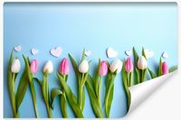 Fototapeta Ścienna Do Sypialni TULIPANY Serca Efekt 3D 360cm x 240cm