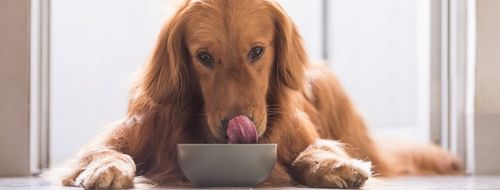 Dolina Noteci mokra karma dla psa Mix Smaków 30 x 150g Saszetki zestaw na Arena.pl