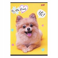 2 x MY LITTLE FRIEND ZESZYT A4/32 kratka z marginesem dla dziewczynki 8302