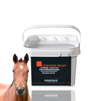 EQUINOVA Vitalysan Pallet 3kg - mieszanka witminowa