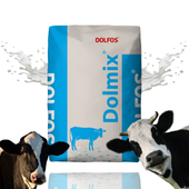 Dolmix BM p+  mineralna mieszanka paszowa dla krów mlecznych, 10 kg