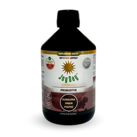 JOY DAY Probiotyk Kurkuma Imbir Pieprz 500ml