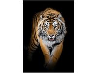 50X70CM TYGRYS OBRAZ PION ŚCIAN