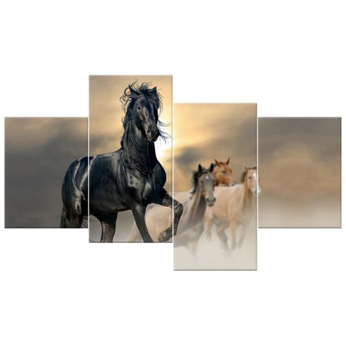Obraz Drukowany 120X70 Ogier na Arena.pl