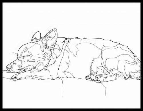 Plakat 65x50cm Śpiący Psiak na Arena.pl