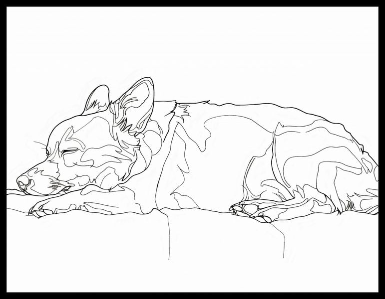 Plakat 65x50cm Śpiący Psiak zdjęcie 2