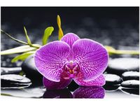 product-compare-58693751