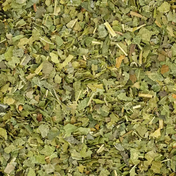 Morwa biała - liść krojony 50g zdjęcie 3