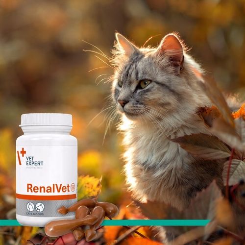 Preparat dla psów kotów na nerki Vet Expert Renalvet 60 kapsułek twist-off na Arena.pl