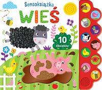 DUŻE PIĘKNE WYDANIE KSIĄŻKA FAKTURY KOLORY 10 DŹWIĘKÓW ZWIERZĘTA WIEŚ