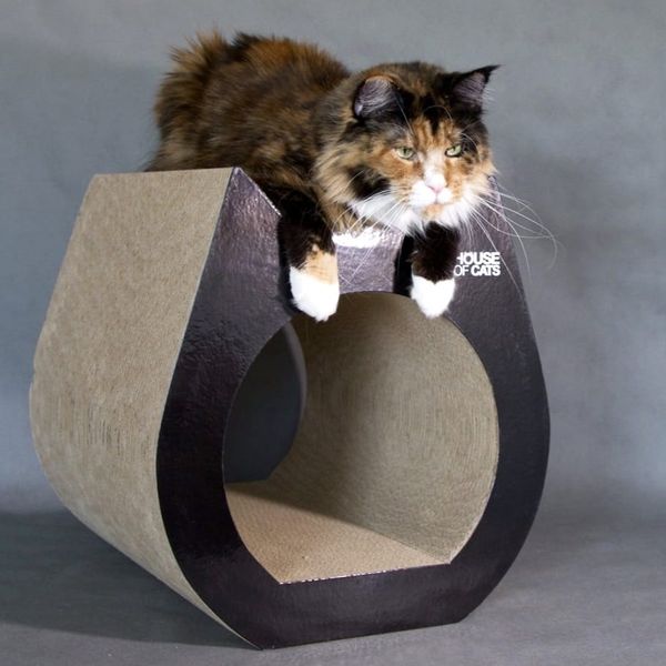 Drapak Cat Drapak dla kota Cat Black zdjęcie 1