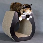 Drapak Cat Drapak dla kota Cat Black