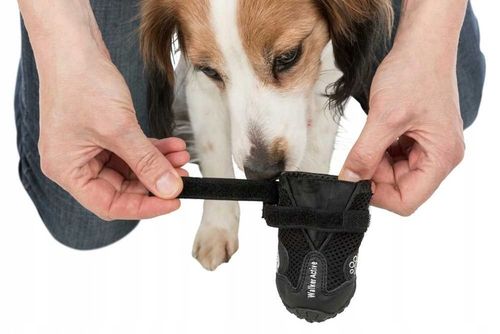 Trixie BUTY OCHRONNE Walker Active dla Psa M-L 2sz na Arena.pl