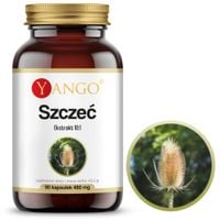 Yango SZCZEĆ ekstrakt 10:1 wsparcie: BORELIOZA UKŁ. IMMUNOLOGICZNY 90kaps