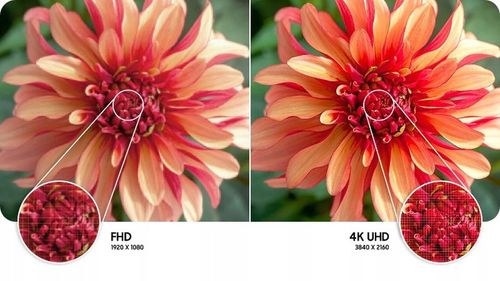 TELEWIZOR SAMSUNG 43" LED 4K UHD TIZEN SMART TV BLUETOOTH UE43DU7172UXXH na Arena.pl