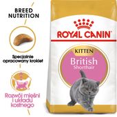 ROYAL CANIN British Shorthair Kitten 2kg