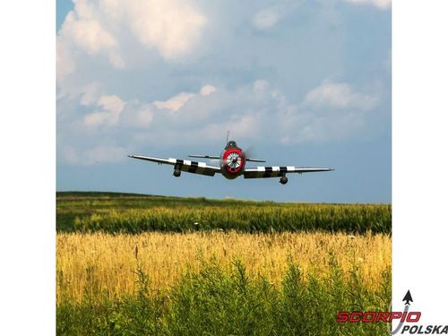 P-47D Thunderbolt 20cc ARF na Arena.pl