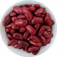 FASOLA CZERWONA 1kg produkt polski fasolka kidney nerkowata