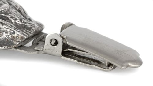 Cairn Terrier - klips - 2552 na Arena.pl