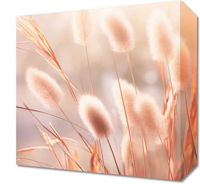 Obraz 30x30cm Kwiaty Słońca zdjęcie 1