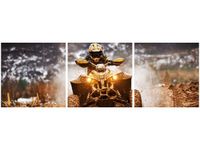 OBRAZ OFFROAD QUAD