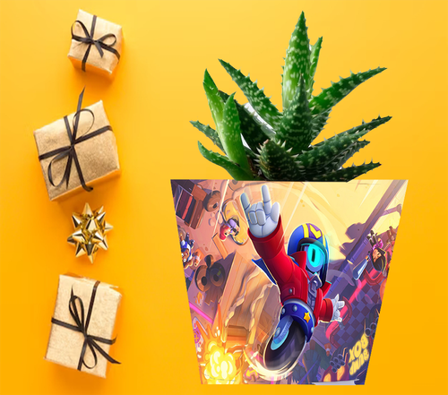 Doniczka do kwiatów - Brawl Stars na Arena.pl