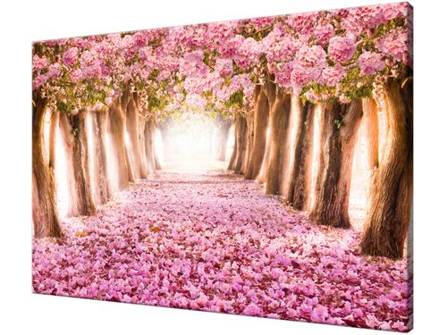 Obraz drukowany na płótnie canvas 120x80 + GRATIS na Arena.pl