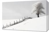Obraz 60x40cm Samotność Zimy przy Płocie