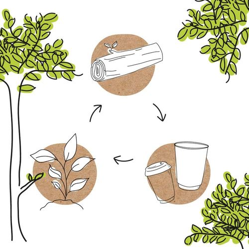Sztućce drewniane widelec nóż łyżka biodegradowalne BIOZOYG 16cm 400 szt na Arena.pl