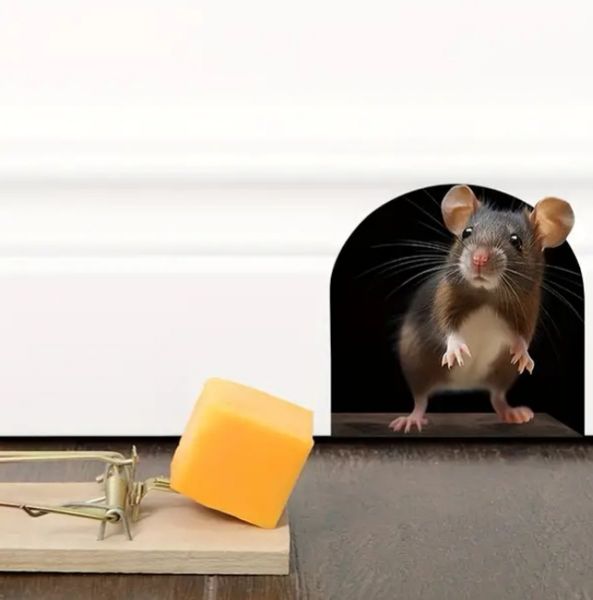 Naklejka realistyczna 3D Naścienna Myszka w Ścianie Mysia Dziura The Mouse zdjęcie 6
