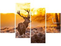 product-compare-58639164