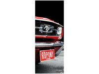 40X100CM RED MUSTANG Y OBRAZ PION
