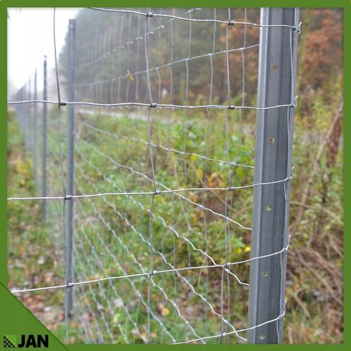 SIATKA LEŚNA 180cm ZAGĘSZCZONA 50m WIRE NET MODEL 180/24/15 L GRATIS GĘSTA na Arena.pl